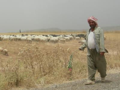 Welcome to Irak